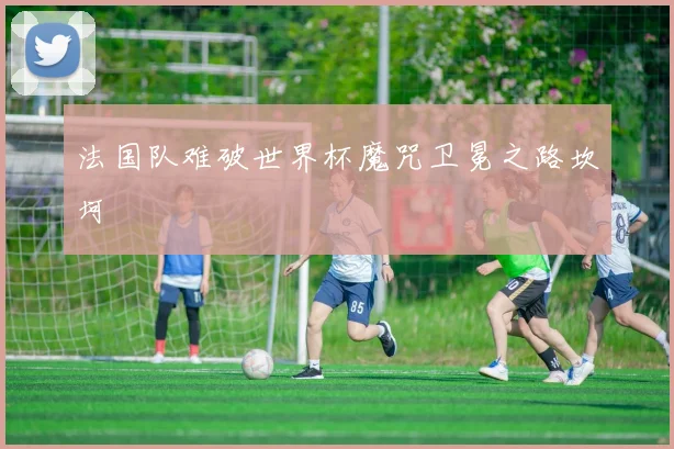 法国队难破世界杯魔咒卫冕之路坎坷