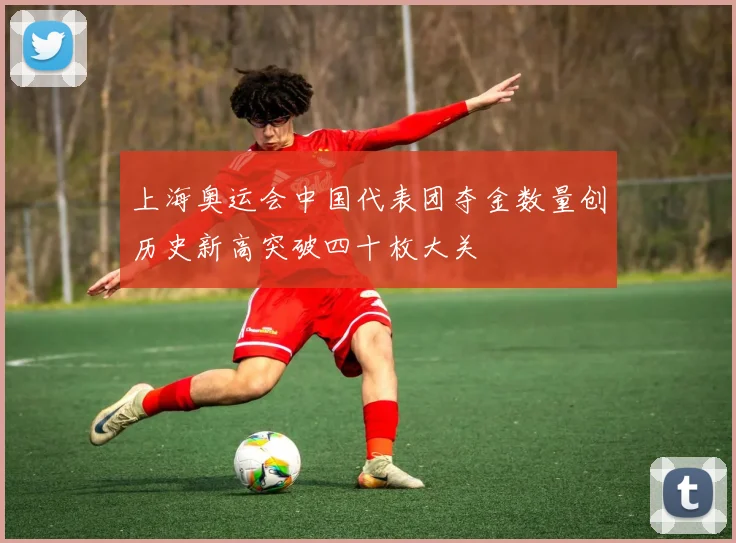 上海奥运会中国代表团夺金数量创历史新高突破四十枚大关
