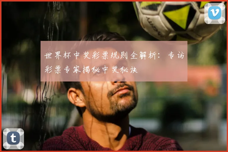 世界杯中奖彩票规则全解析：专访彩票专家揭秘中奖秘诀