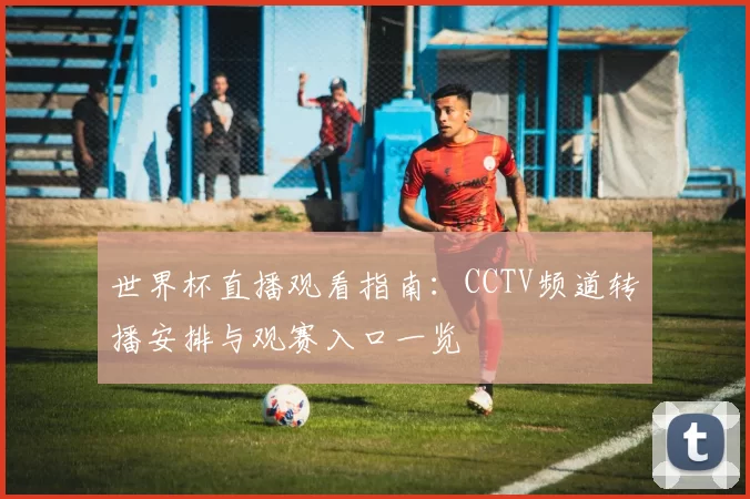 世界杯直播观看指南：CCTV频道转播安排与观赛入口一览