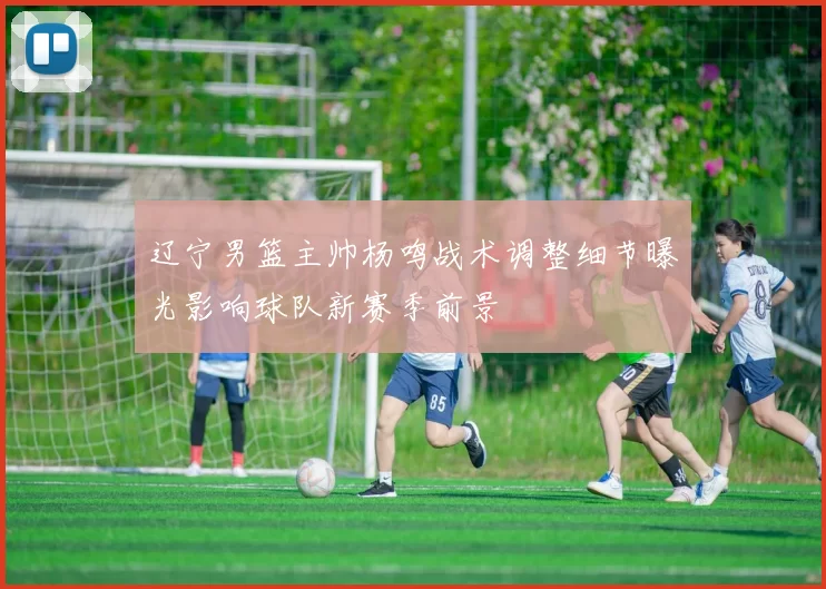 辽宁男篮主帅杨鸣战术调整细节曝光影响球队新赛季前景