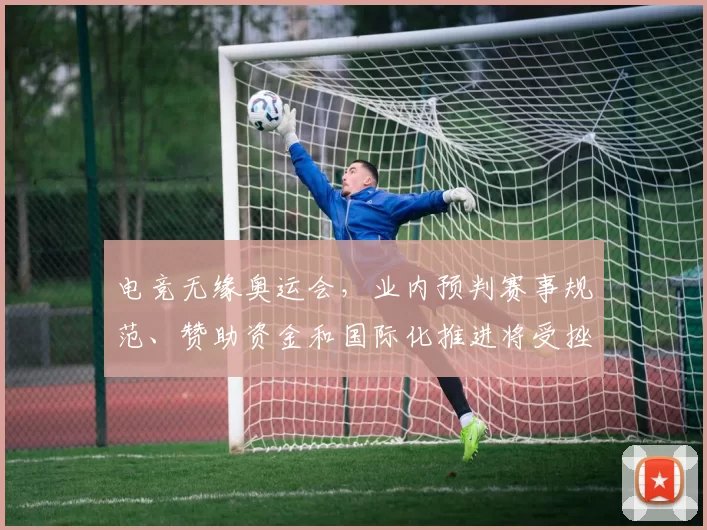 电竞无缘奥运会，业内预判赛事规范、赞助资金和国际化推进将受挫